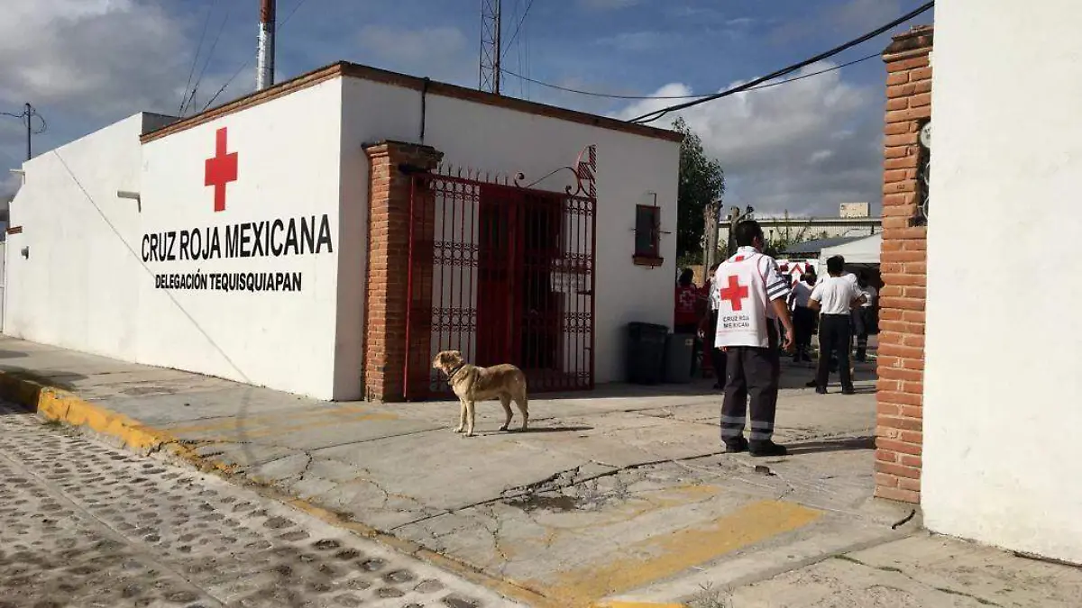 cruz roja